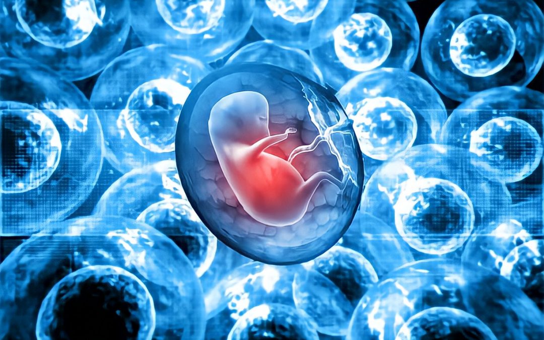 Chinese Scientists Create AI nanny: Human Embryos To Grow Babies In Robot Wombs