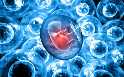 Chinese Scientists Create AI nanny: Human Embryos To Grow Babies In Robot Wombs