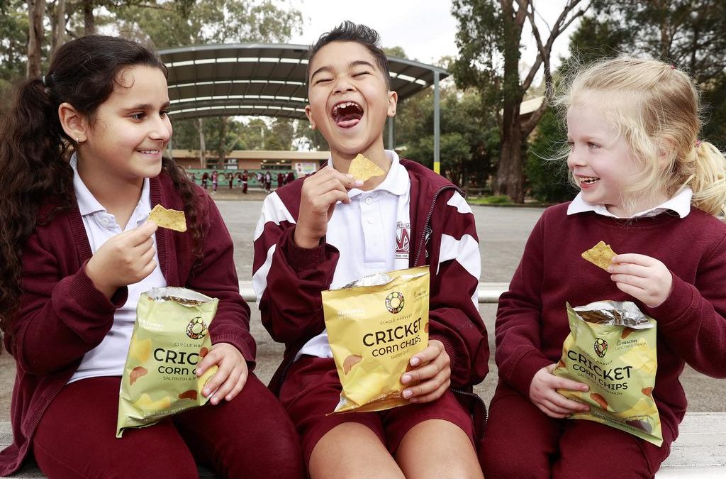Snacks containing bugs have been introduced to 1000 school canteens across the country