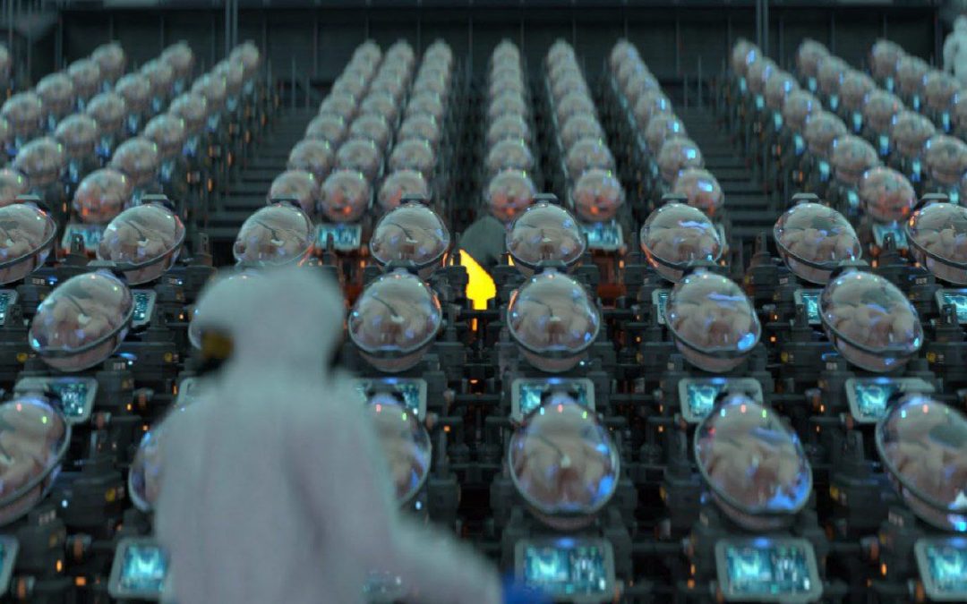 EctoLife : the world’s first artificial womb facility?