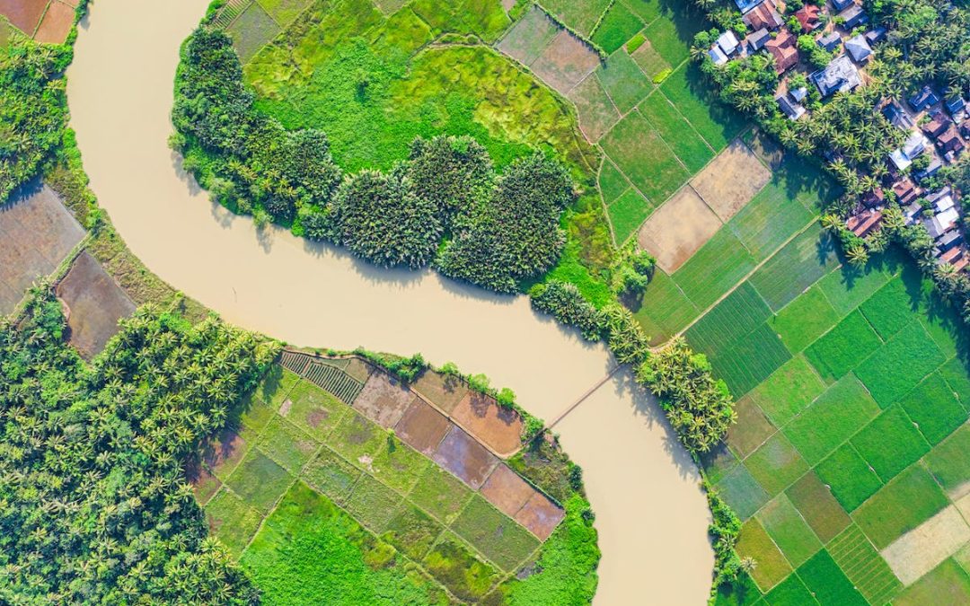 How You Can Slay Giants in Your Life