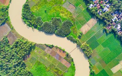 How You Can Slay Giants in Your Life