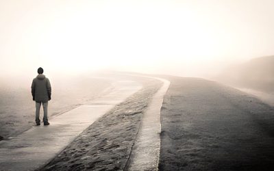 How You Can Bring Back Your Lost