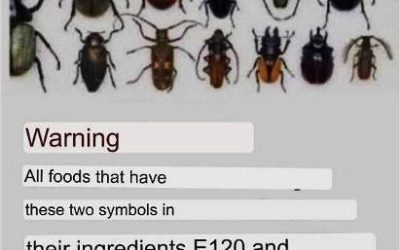 Warning for Parents: Hidden Insect Additives Found in Common Kids’ Snacks!